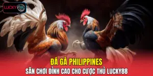 Đá Gà Philippines – Sân Chơi Đỉnh Cao Cho Cược Thủ LUCKY88