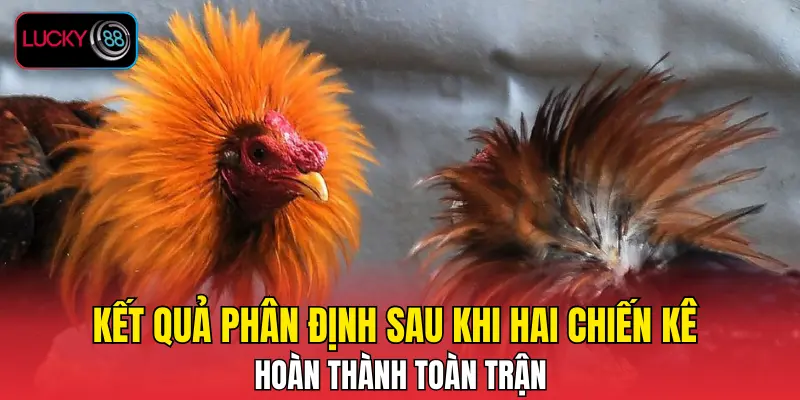 Kết quả phân định sau khi hai chiến kê hoàn thành toàn trận