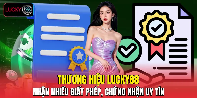 Thương hiệu nhận nhiều giấy phép, chứng nhận uy tín
