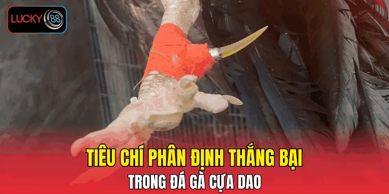 Tiêu chí phân định thắng bại trong đá gà cựa dao