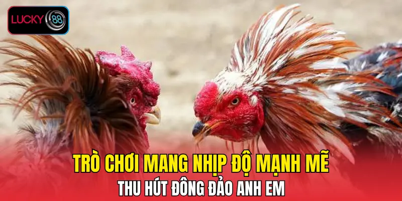 Trò chơi mang nhịp độ mạnh mẽ thu hút đông đảo anh em