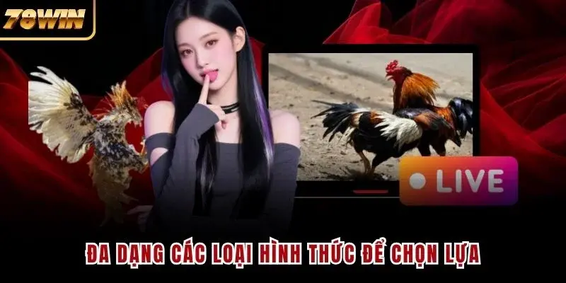 Đa dạng các loại hình thức để chọn lựa
